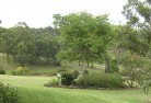 East Gresfordresidential-landscaping-40.jpg; ?>